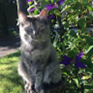 Meet your Posher, Bri